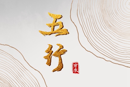 新浪紫微命盘 命盘详细解释 明星紫微斗数命盘 紫微测名 本命盘解析 元亨紫微排盘系统